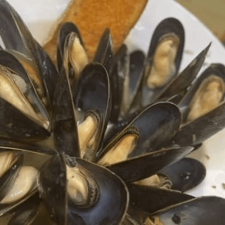 Mussels Marinara.