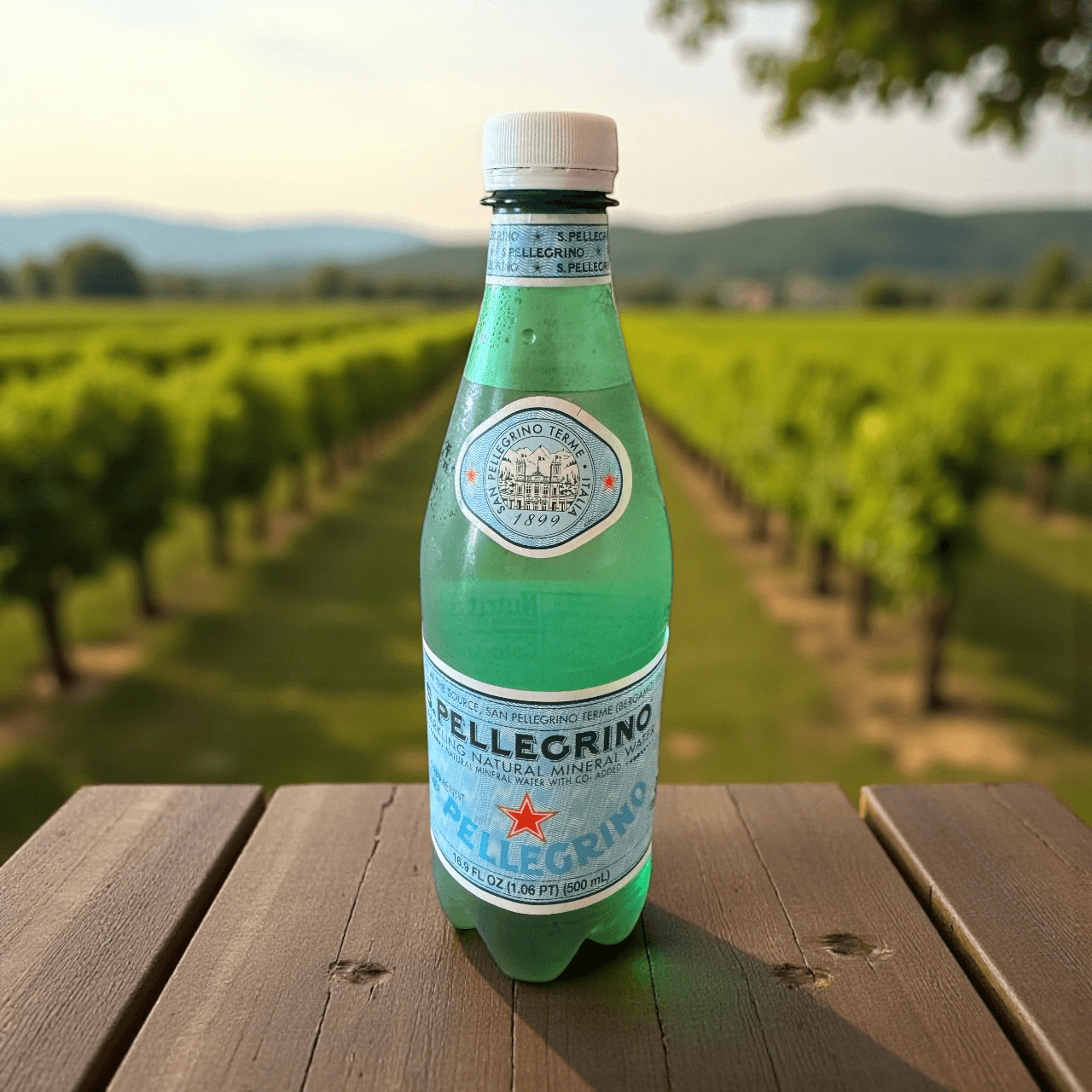 San Peligrino-Sparkling Water.