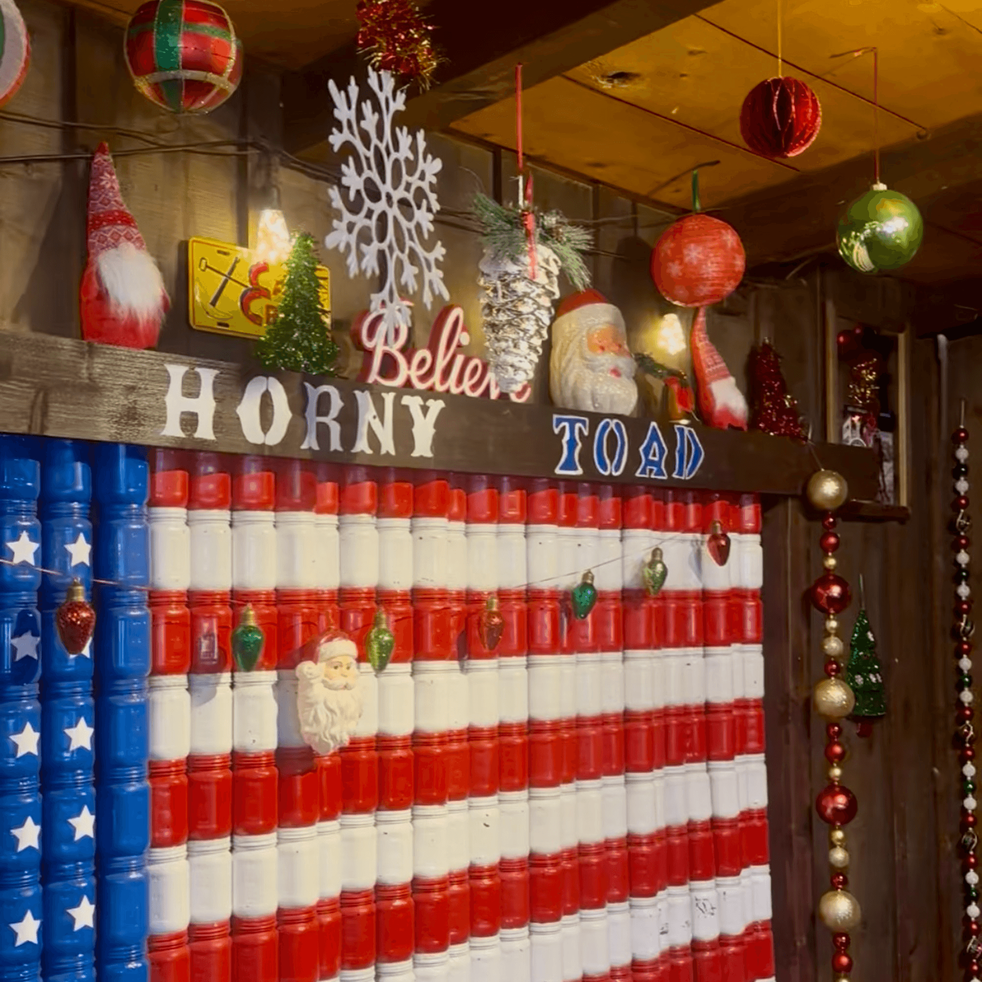 The Horny Toad gallery image #1