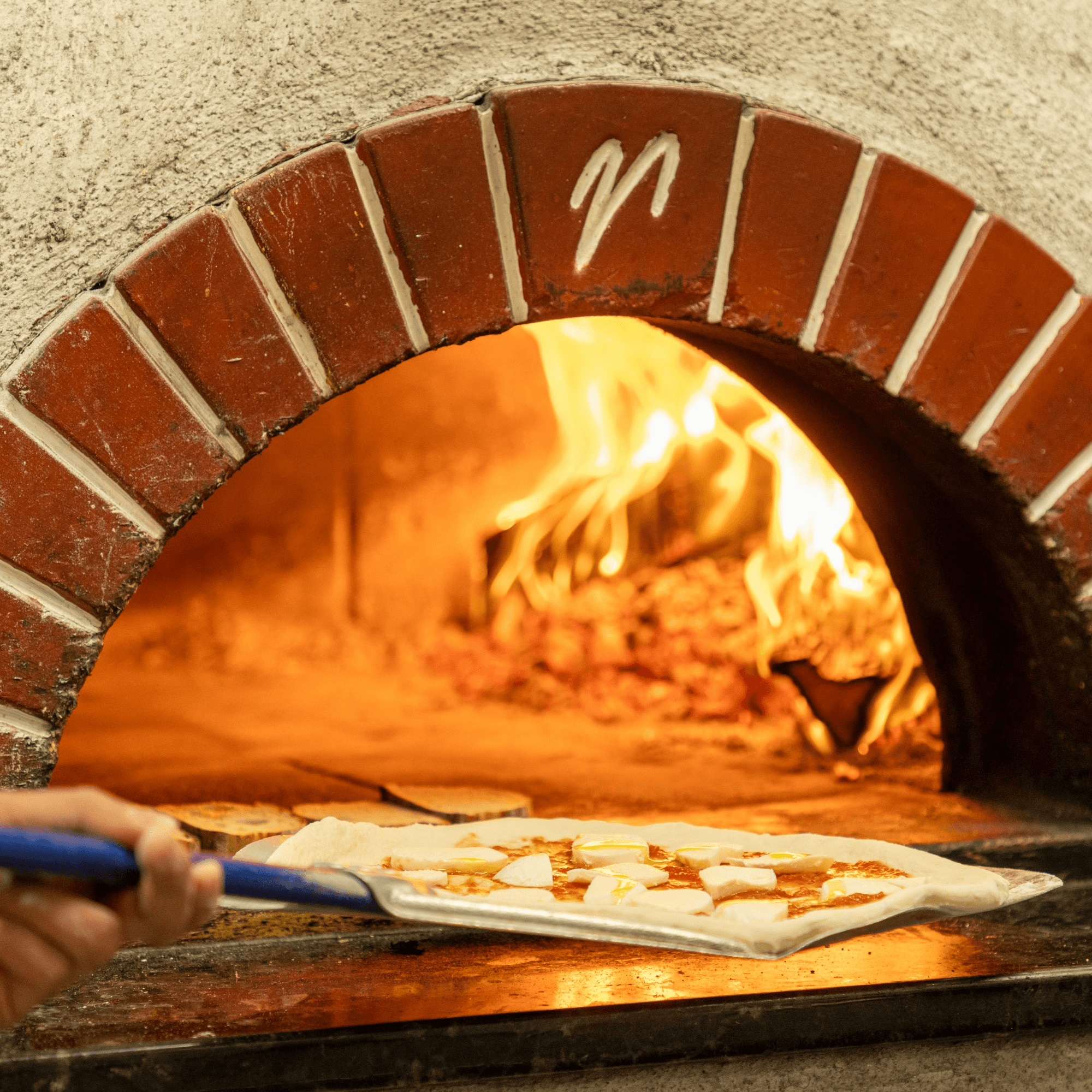 Ti Amo Wood Fired Pizza gallery image #5