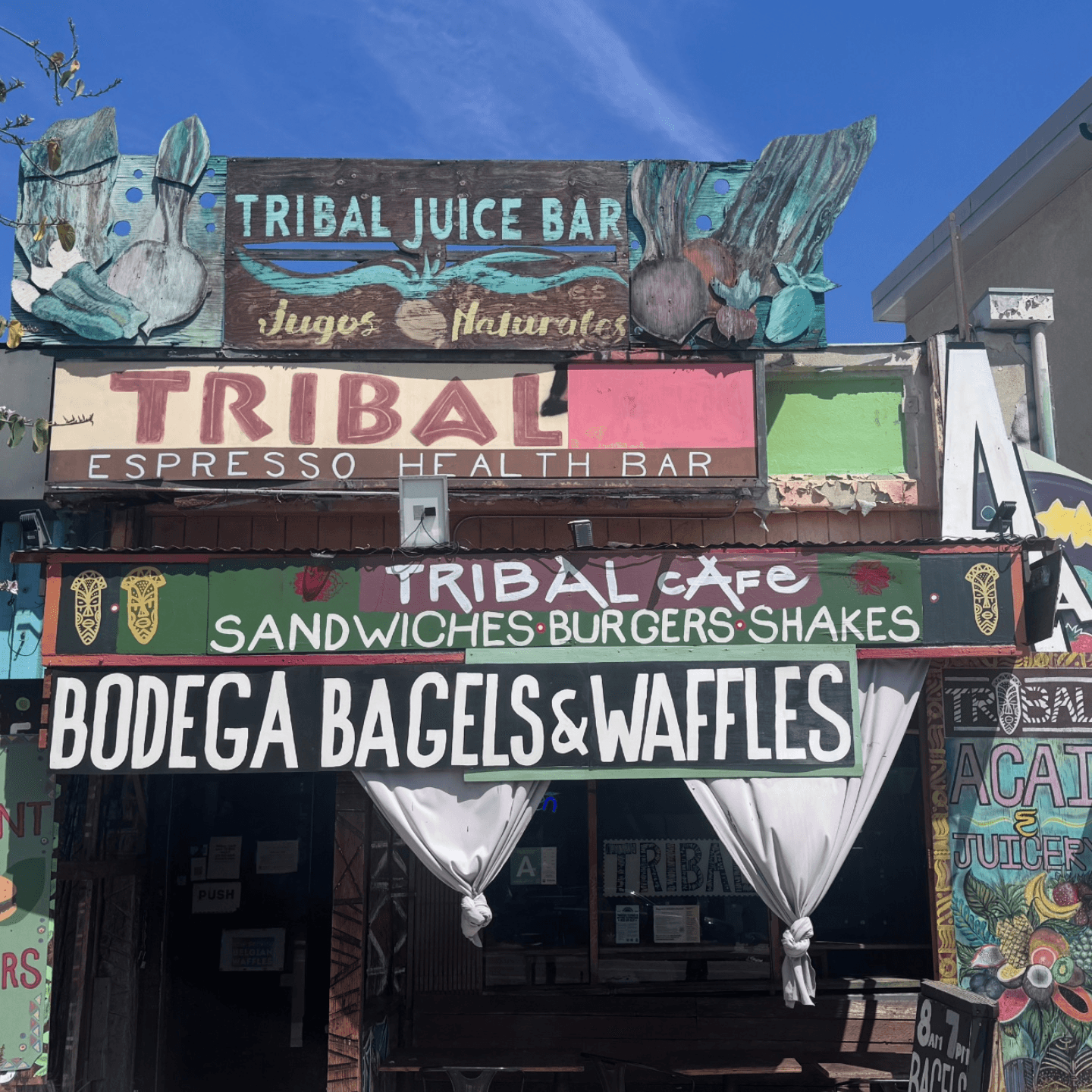 Welcome to Tribal Cafe 🌿