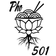 PHO 501