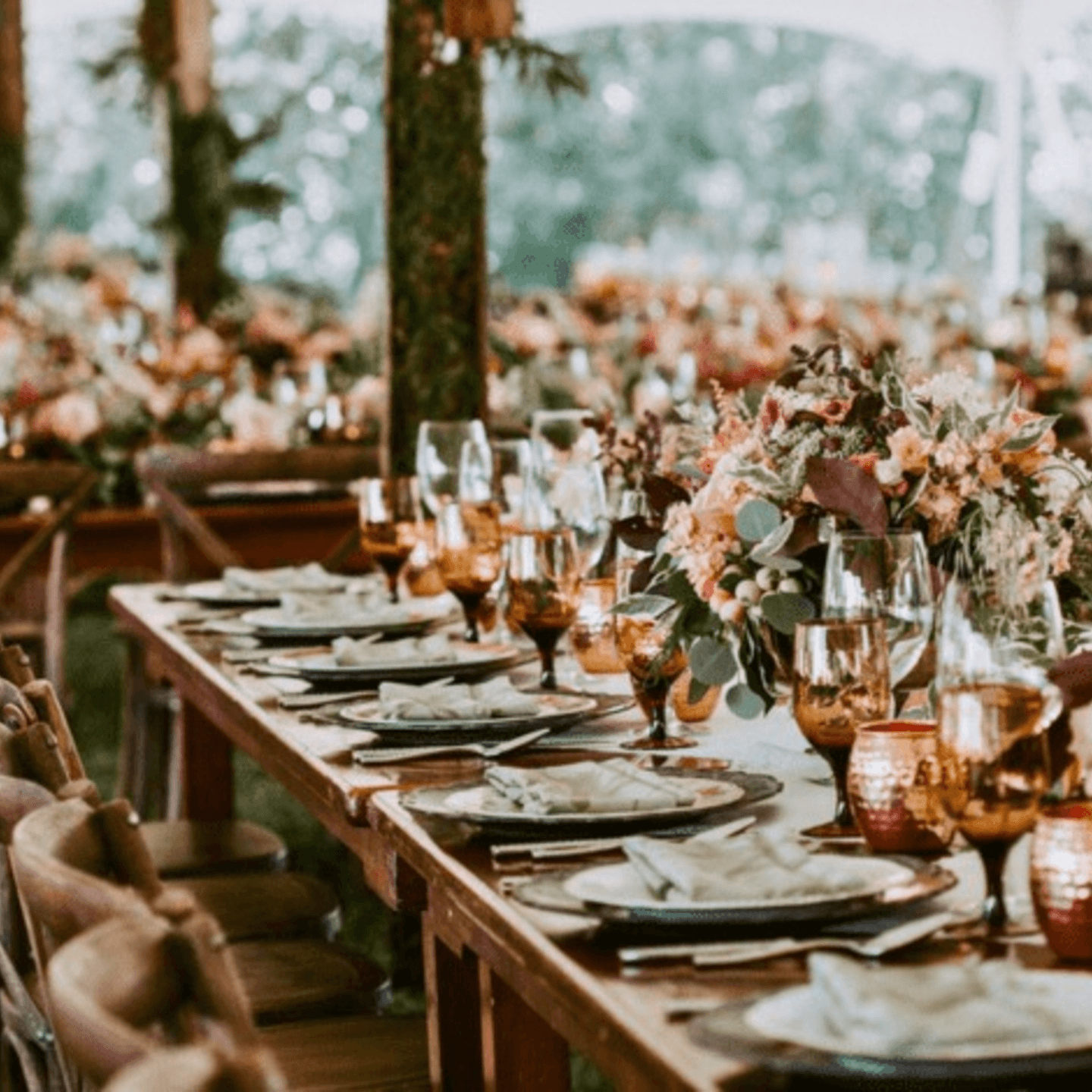 Experience the Excellence of Rangoli's Catering