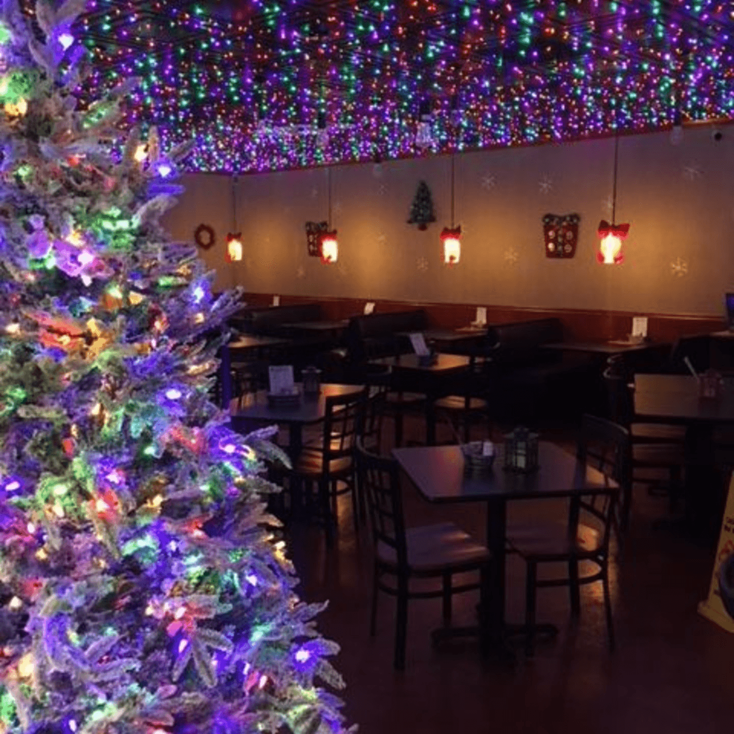 Dine In, Feel at Home