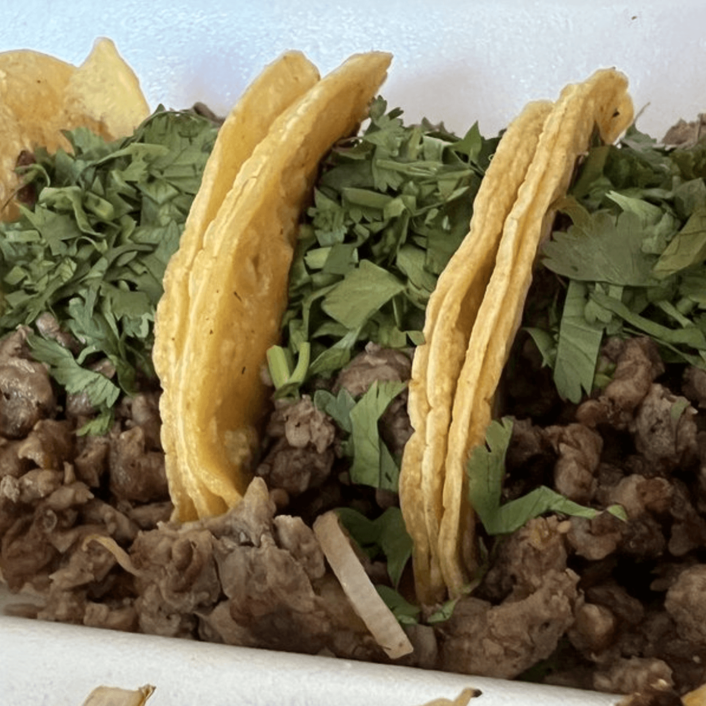 Taco Tuesday