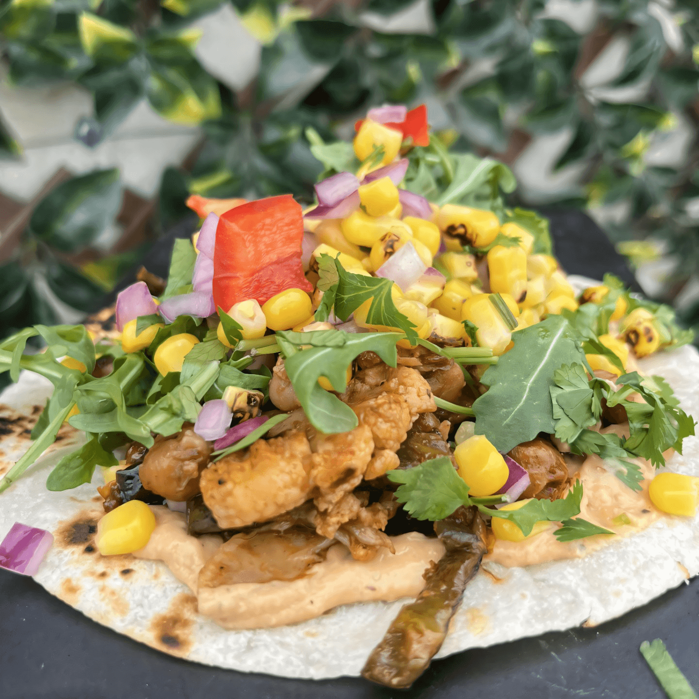 Str8 Up Tacos Rewards