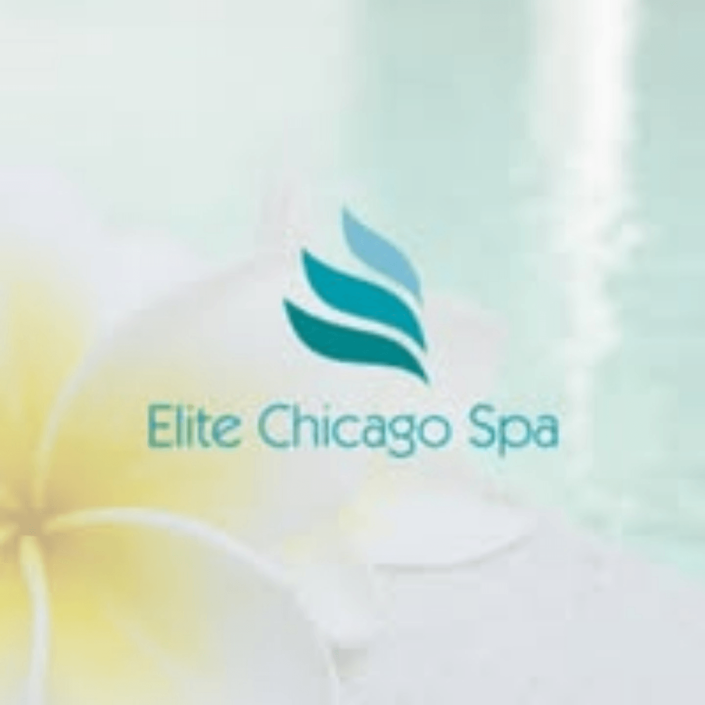  Elite Chicago Spa