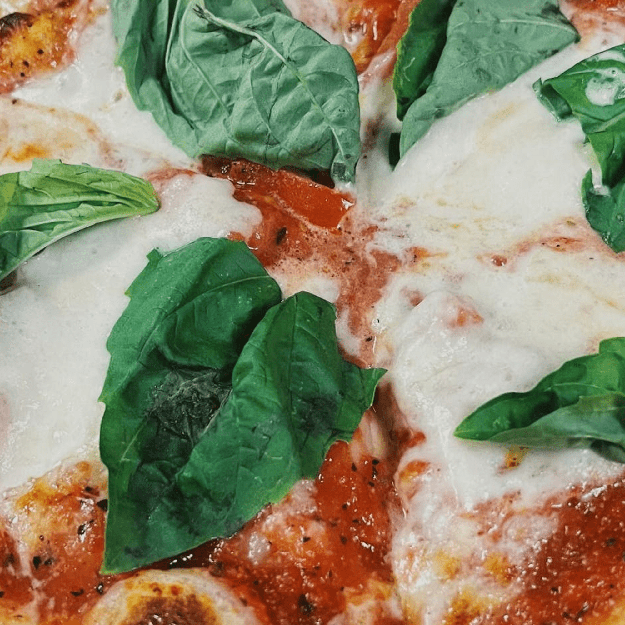 Pizza Nation gallery image #1