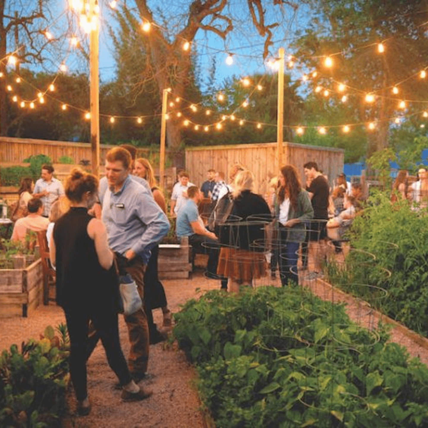 Best pizza in Houston with Bold, Unique Flavors.