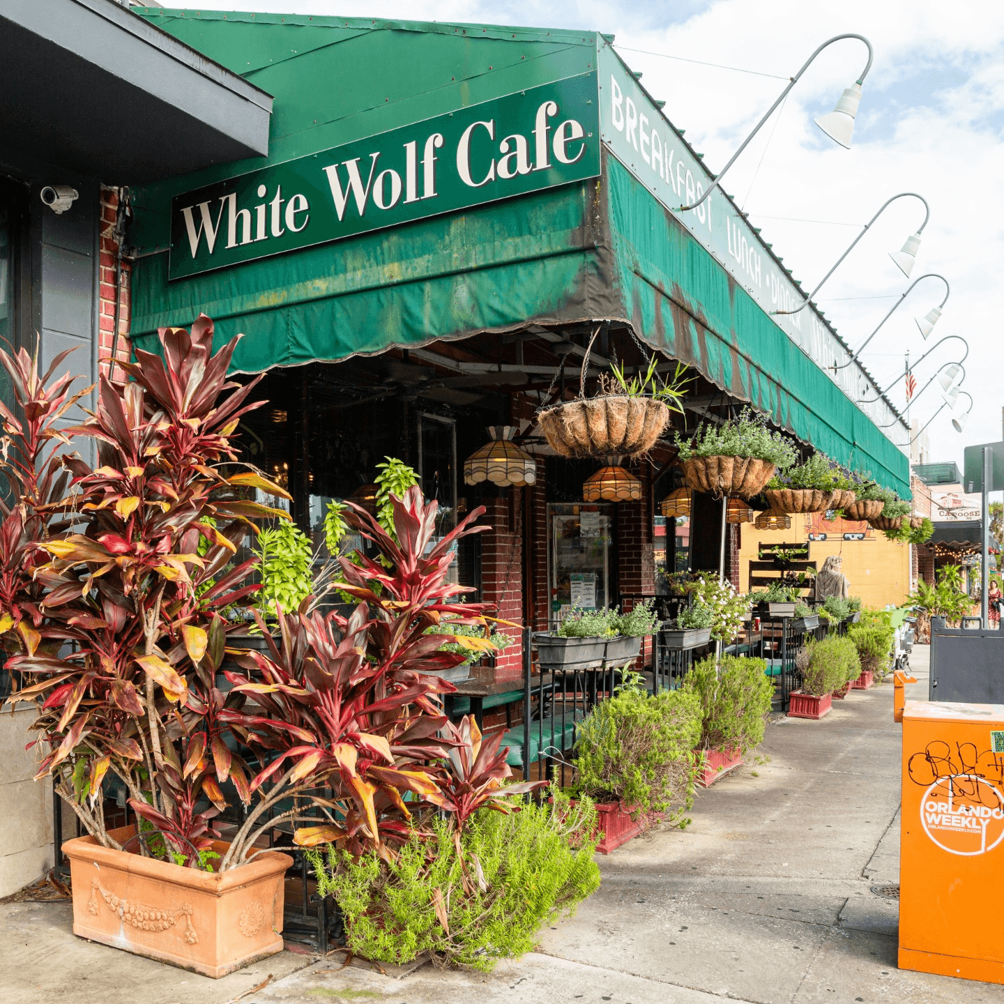A Local Gem Since 1991—Welcome to White Wolf