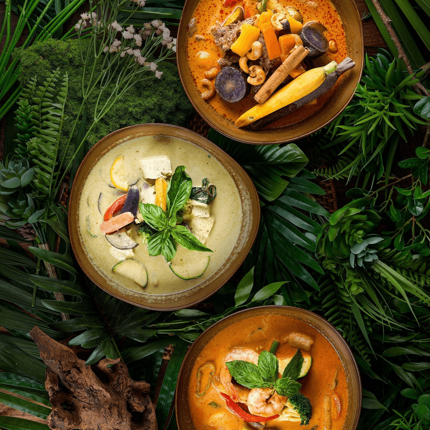 Cooking Up Your Curry Adventure