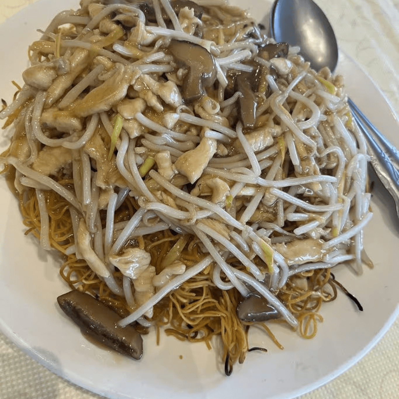 Pan Fried Crispy Noodles with Mixed Seafood or Combo / 海鮮煎麵或招牌煎面.