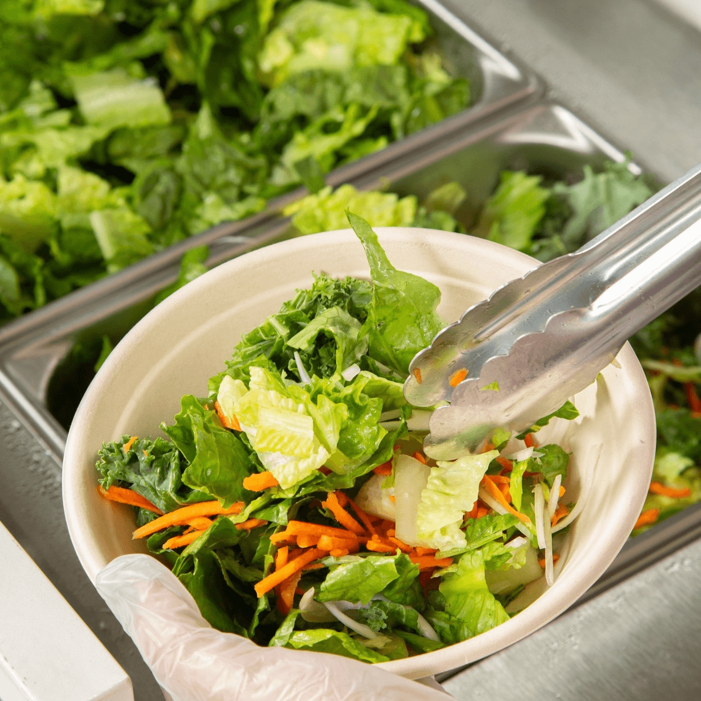 Single Protein Option: $12.00 per person