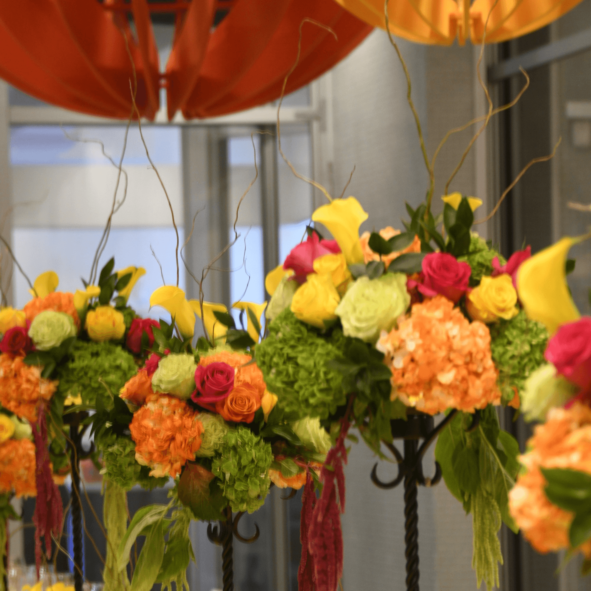 Lulu California Bistro gallery image #3