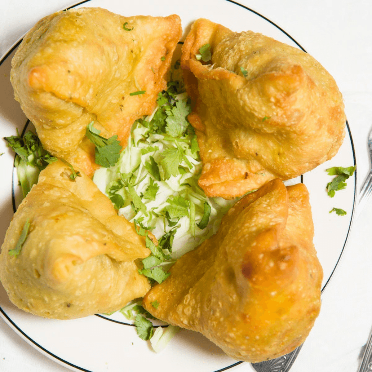 Vegetable Samosa.