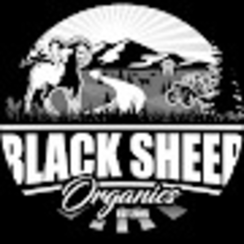  Blacksheep O.