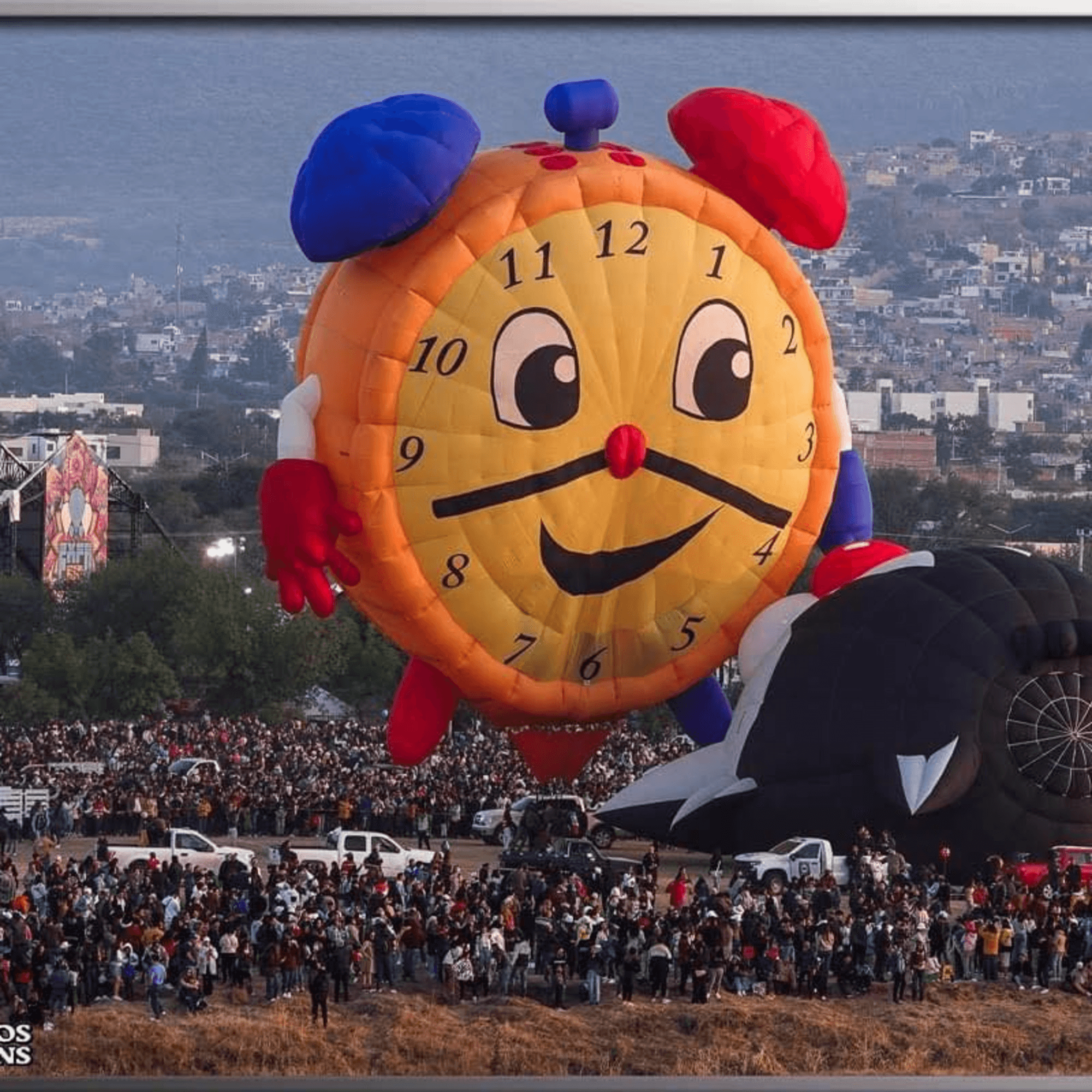 Roly Poly gallery image #4