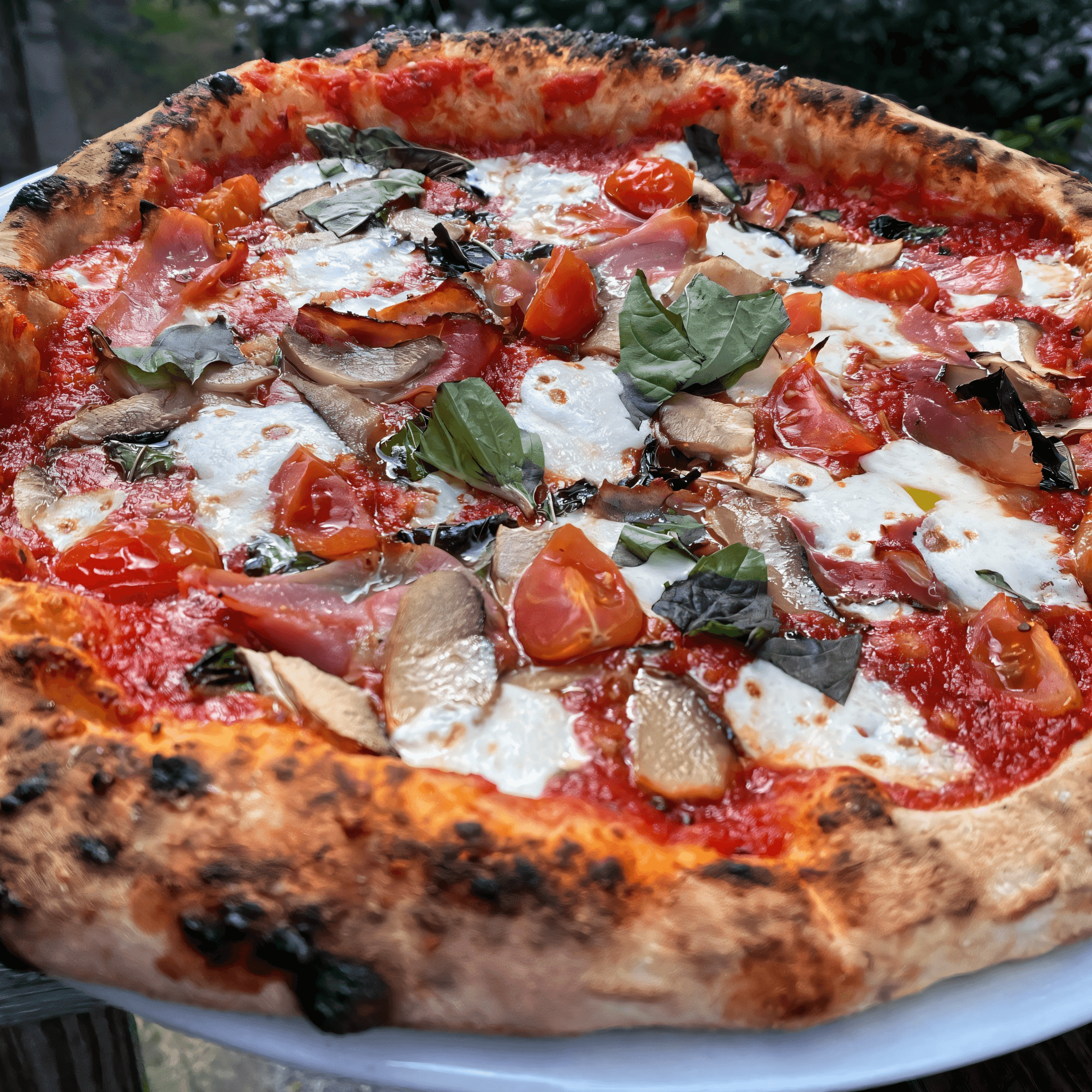 Aquila Pizza Al Forno gallery image #7