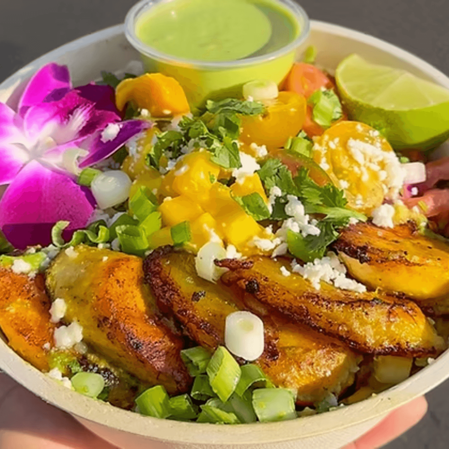 Signature Miami Bowl
