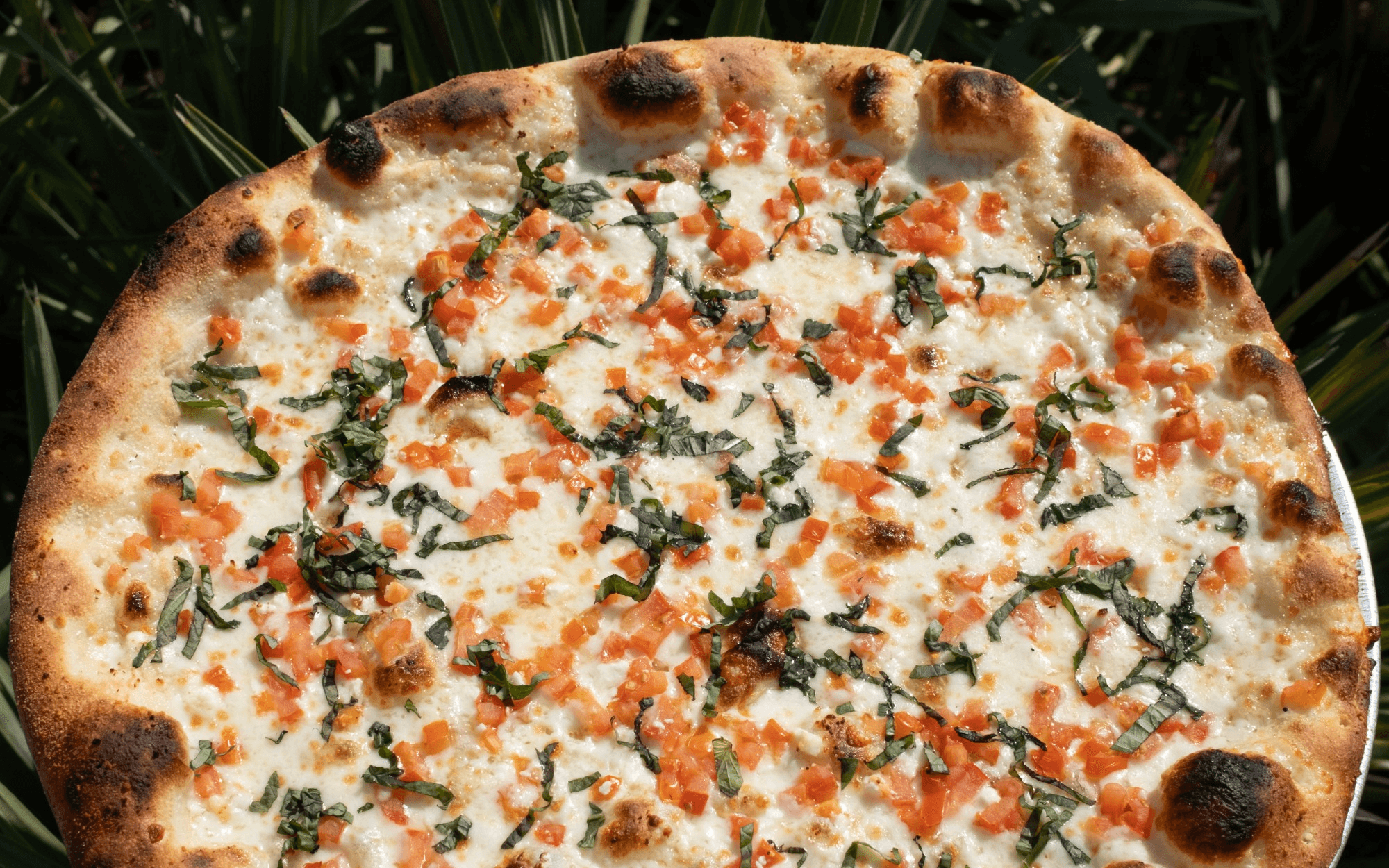 Pizza by the Sea | Best Pizza in Florida | Pizza near me