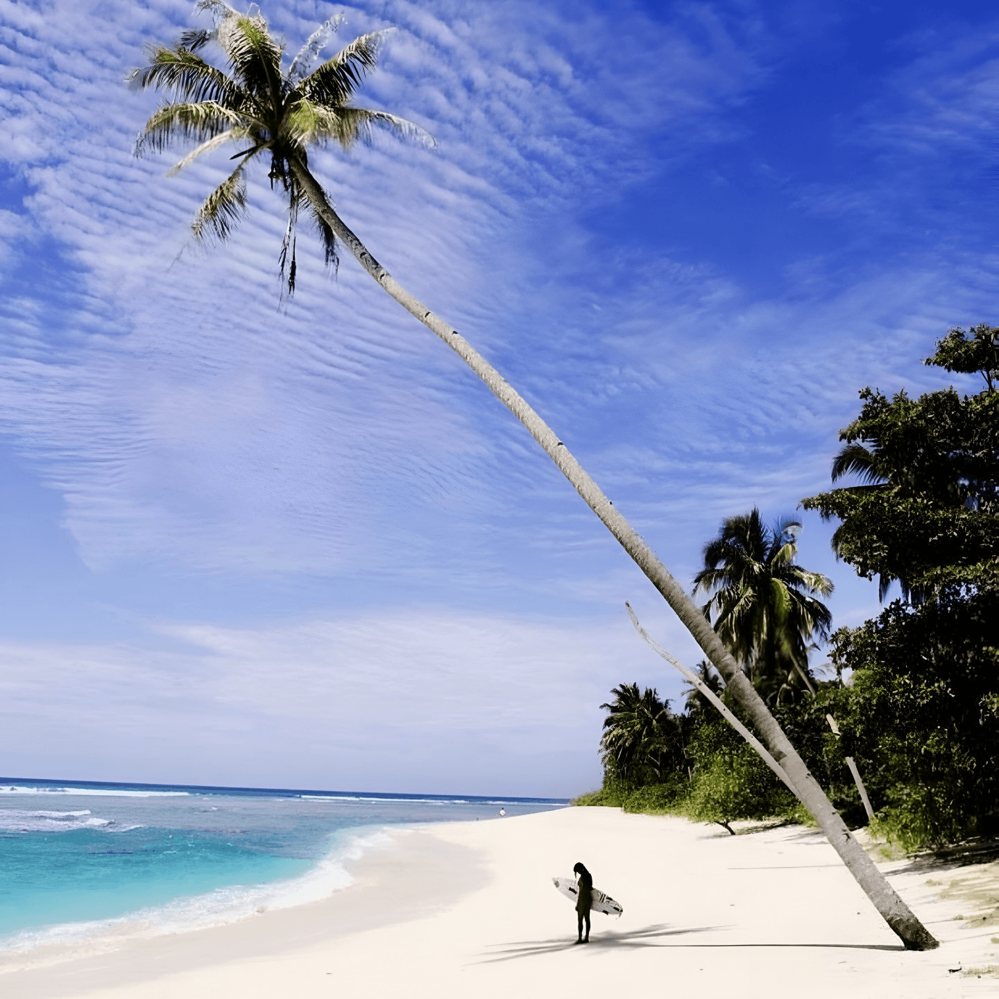 A Passion for Surfing and Friendship