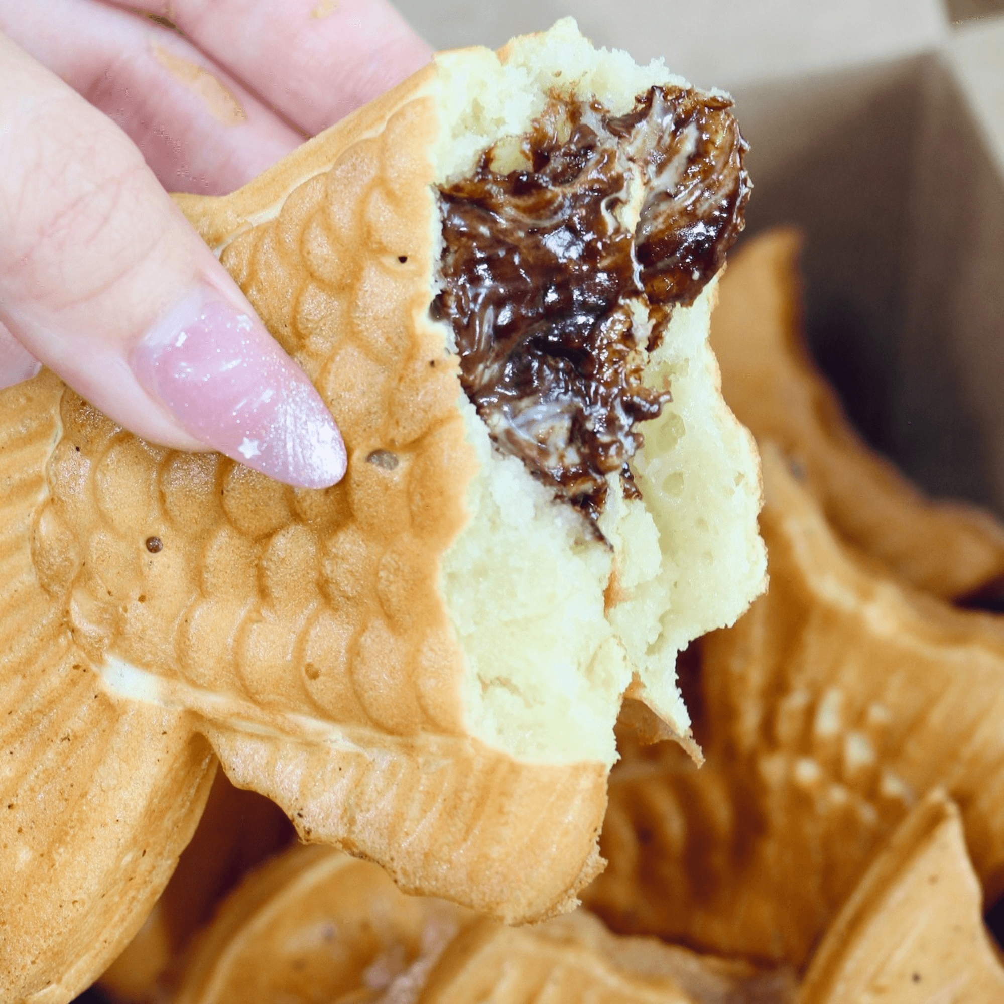 Lazi Cow gallery image #7