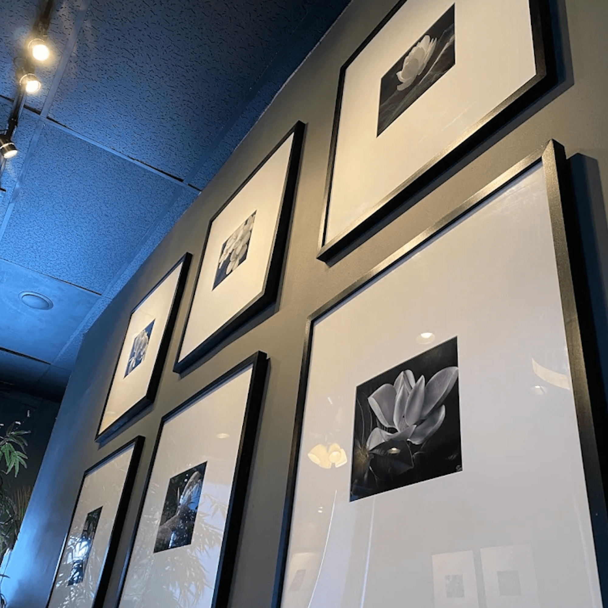 Charm Thai Cuisine gallery image #1