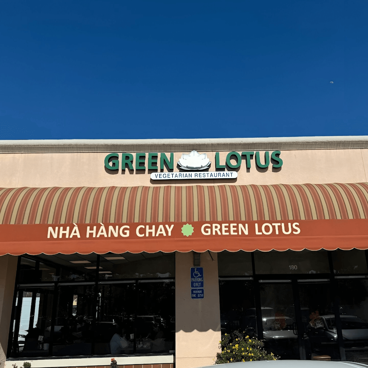 Welcome to Green Lotus Restaurant 🌱