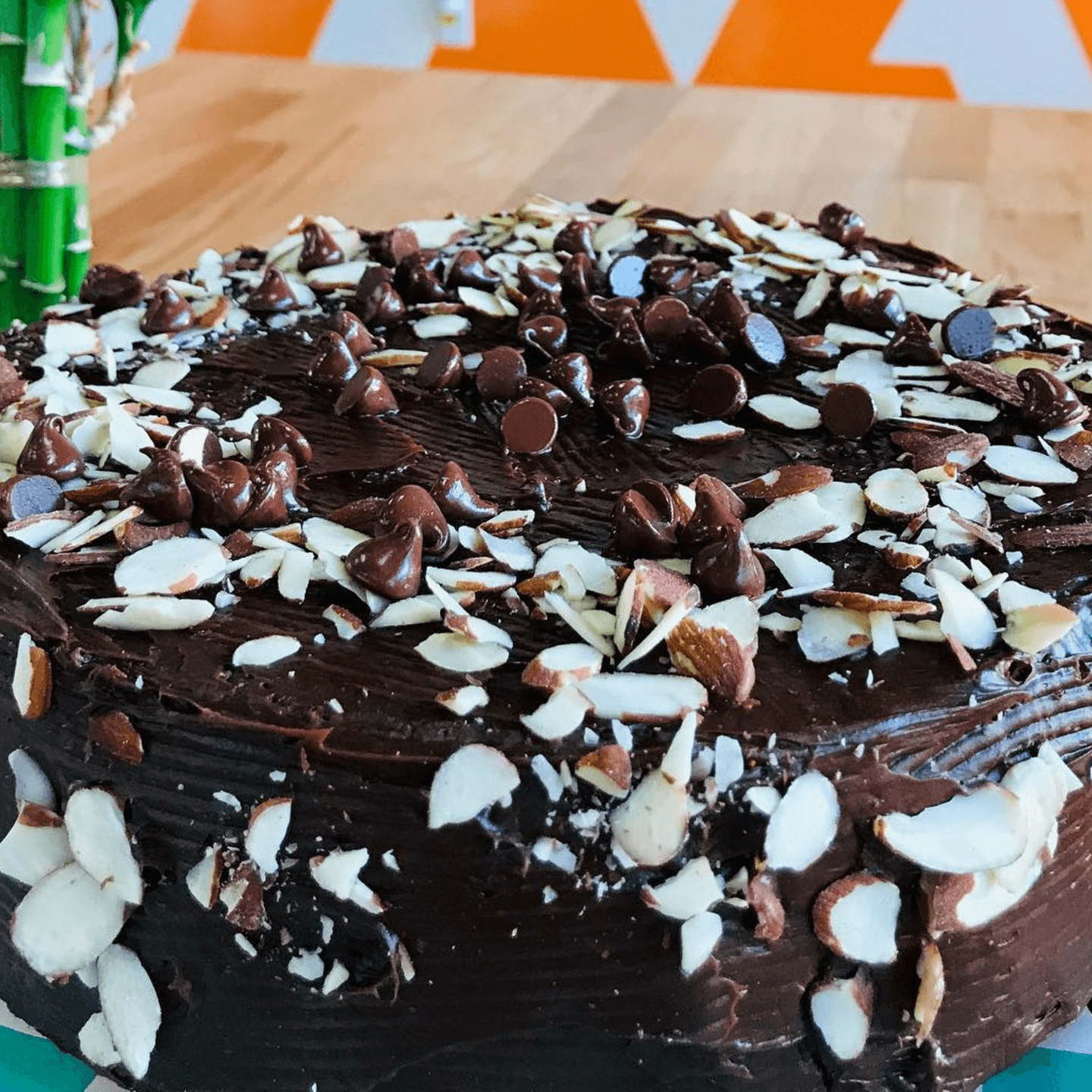 Follow us on Instagram