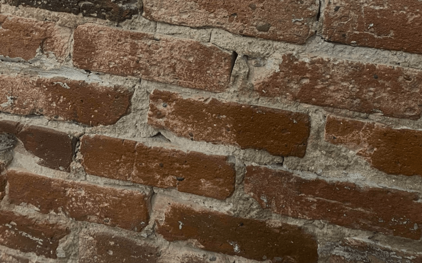 Flavor-fused Flatbreads