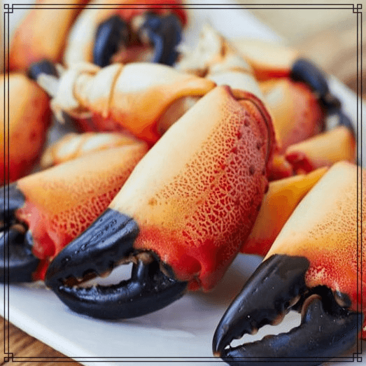 Stone Crab Med.