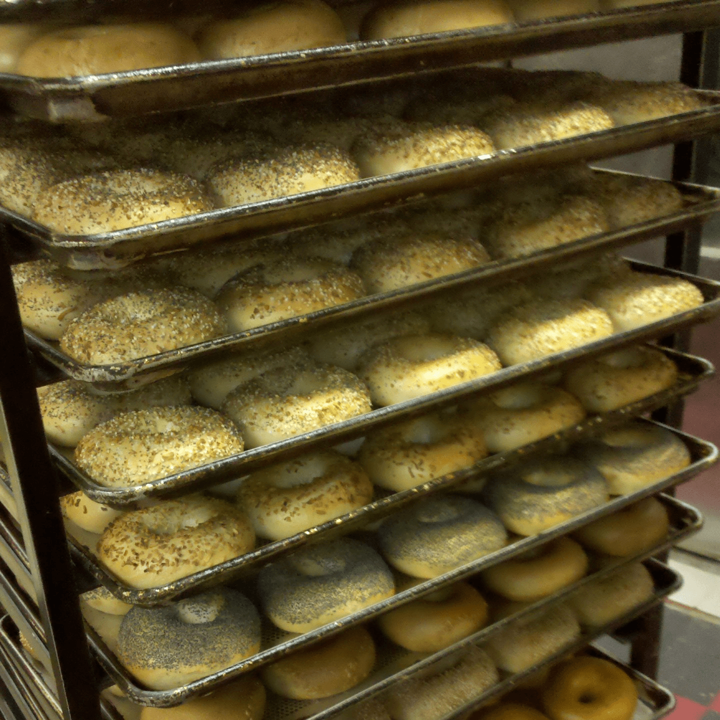 Call or Email to Contact us 