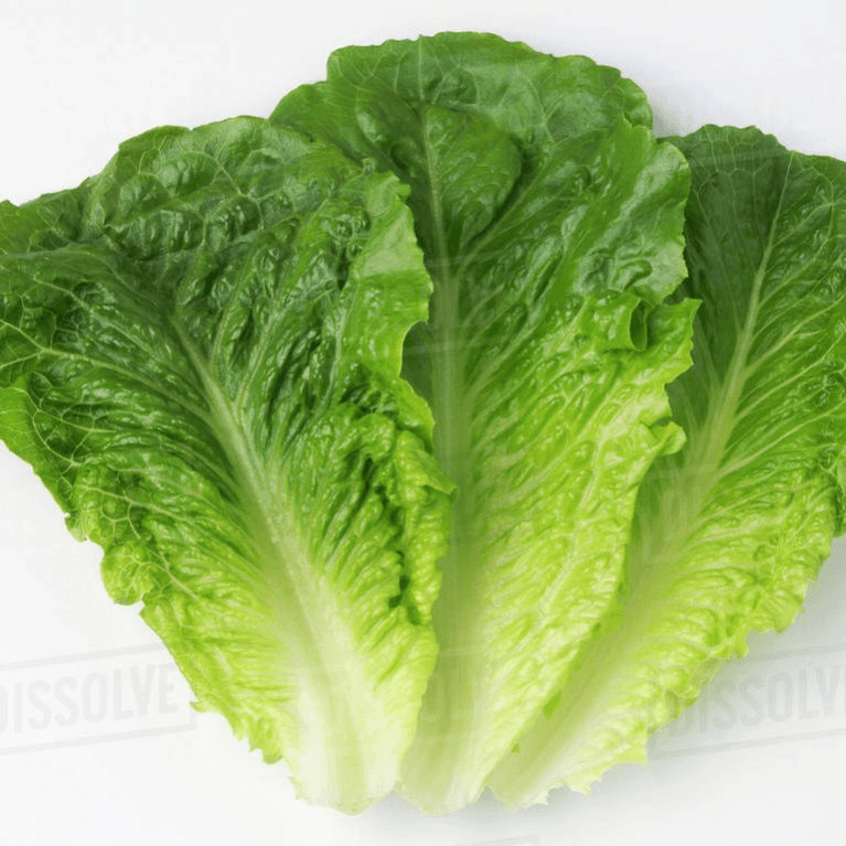 Add - Romaine Lettuce.