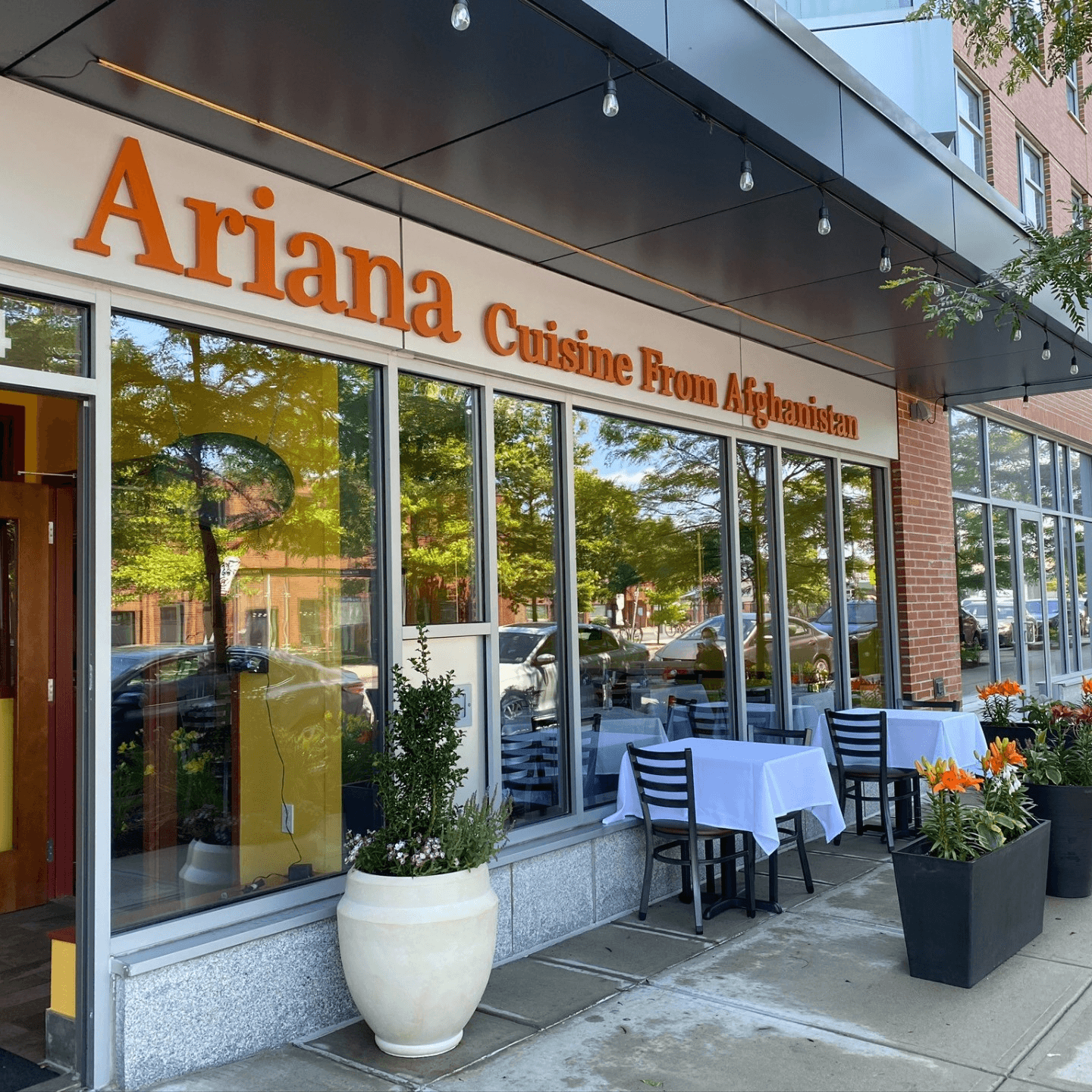 Welcome to Ariana 