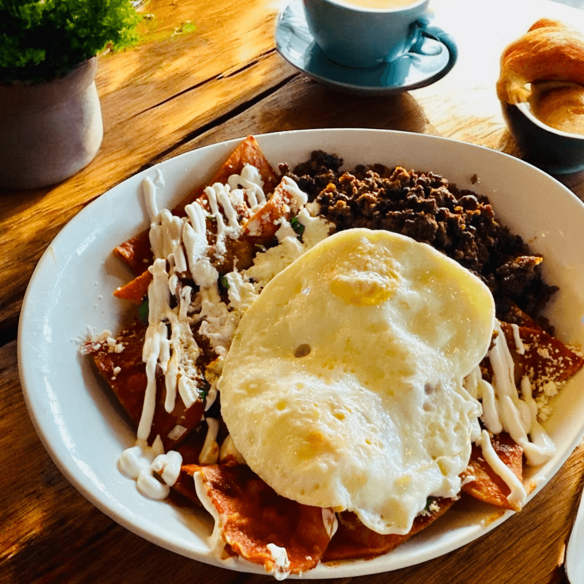 Polo's Corner gallery image #2