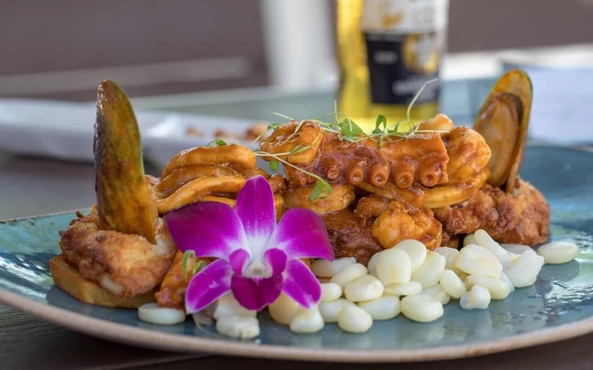 Divino Ceviche — Doral