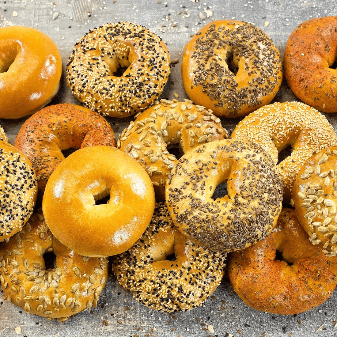 Dozen Bagels Online.