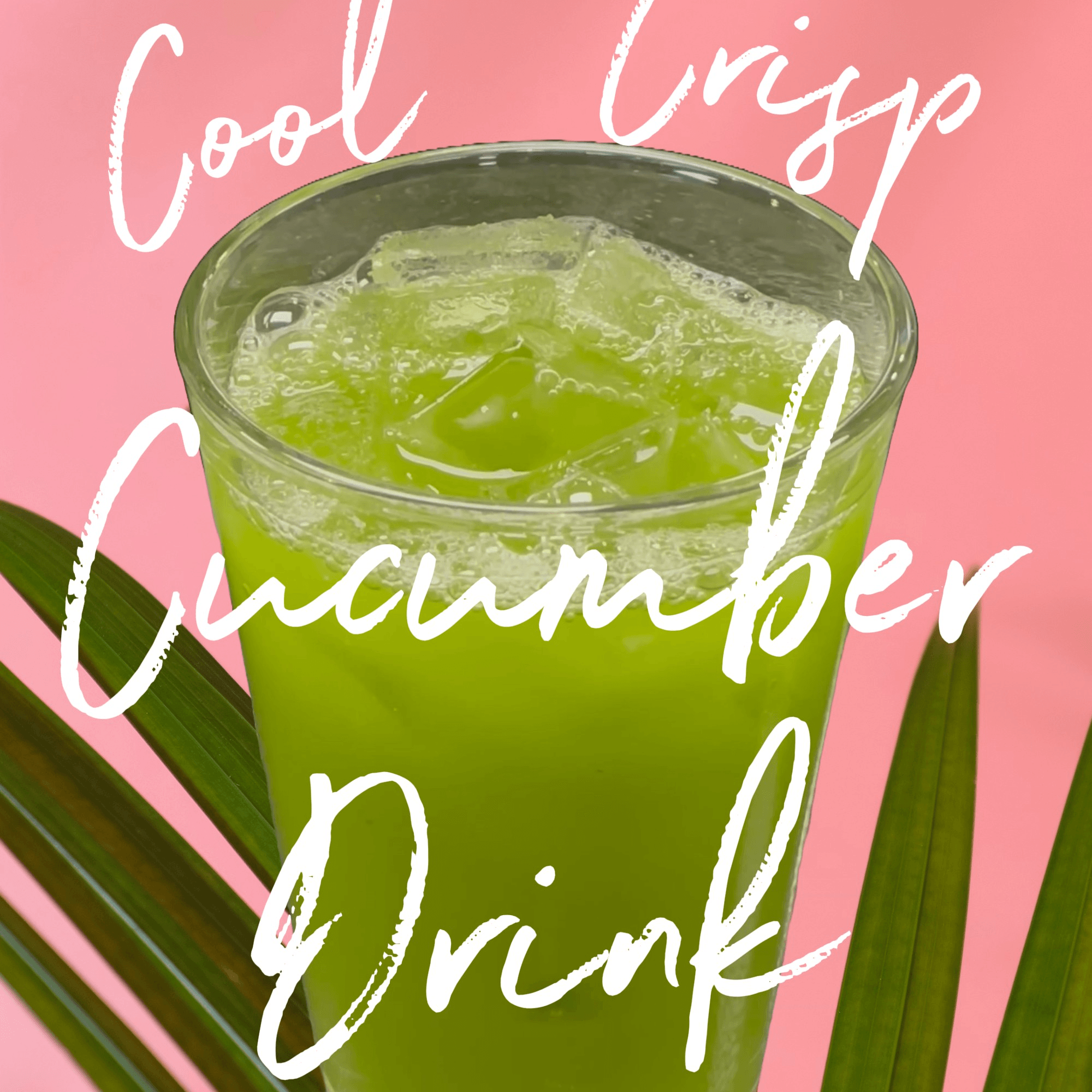 Paradise Place Jamaican Cuisine gallery image #10