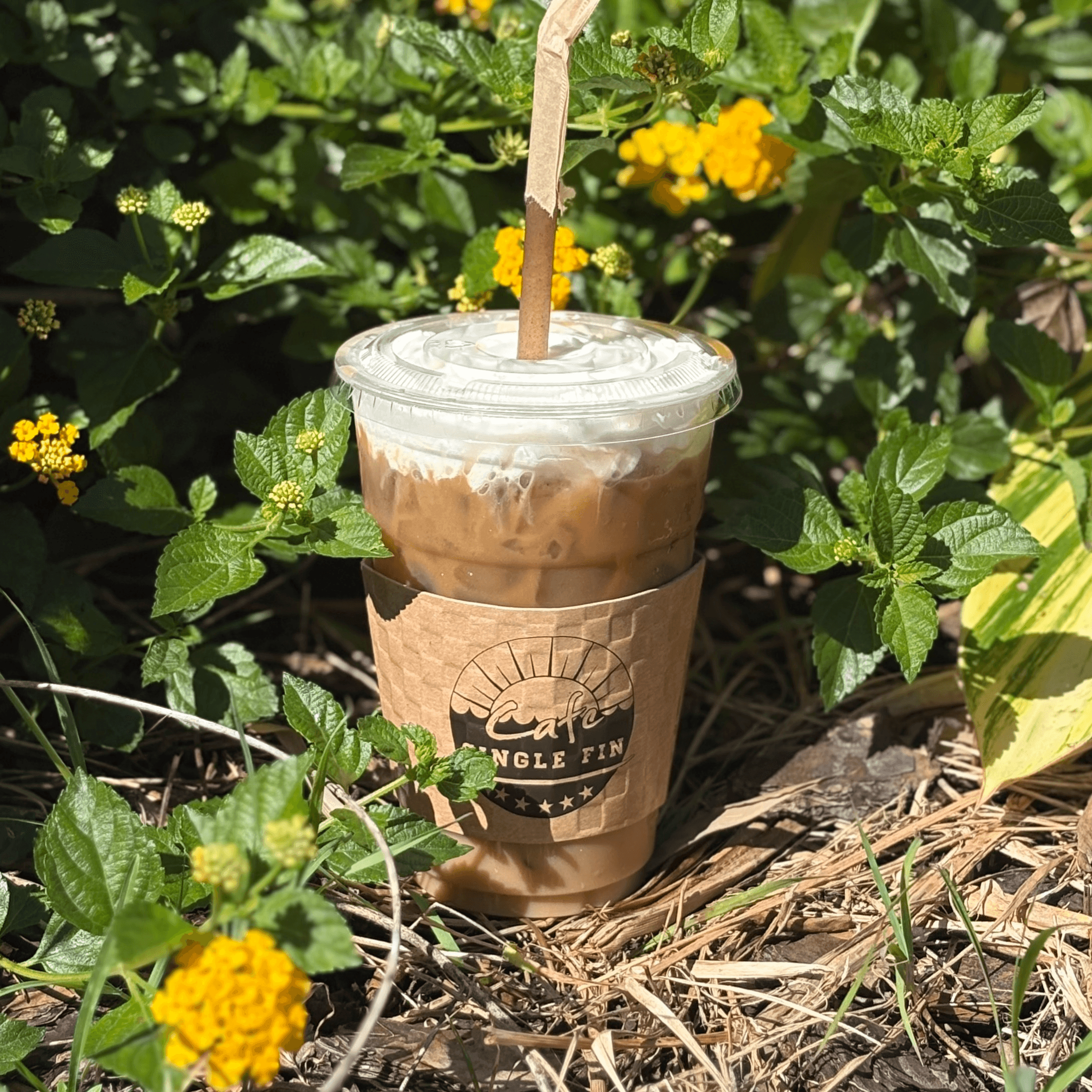 Iced Viennois.