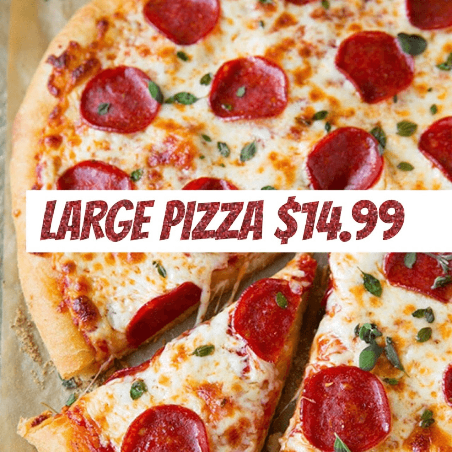 Special Large Pizza - $ 14.99