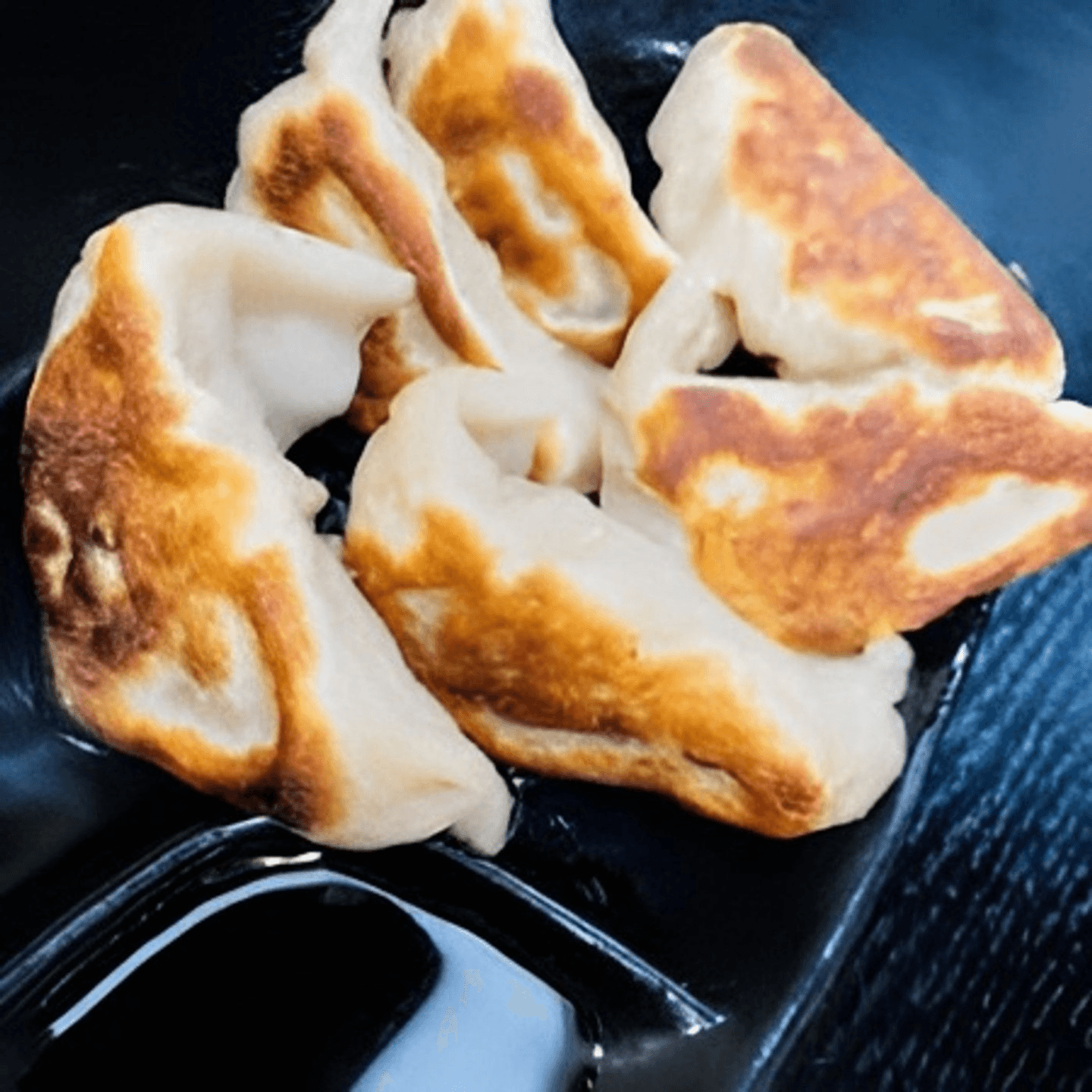 Dumplings, Buns, and More – Made Fresh Daily 
