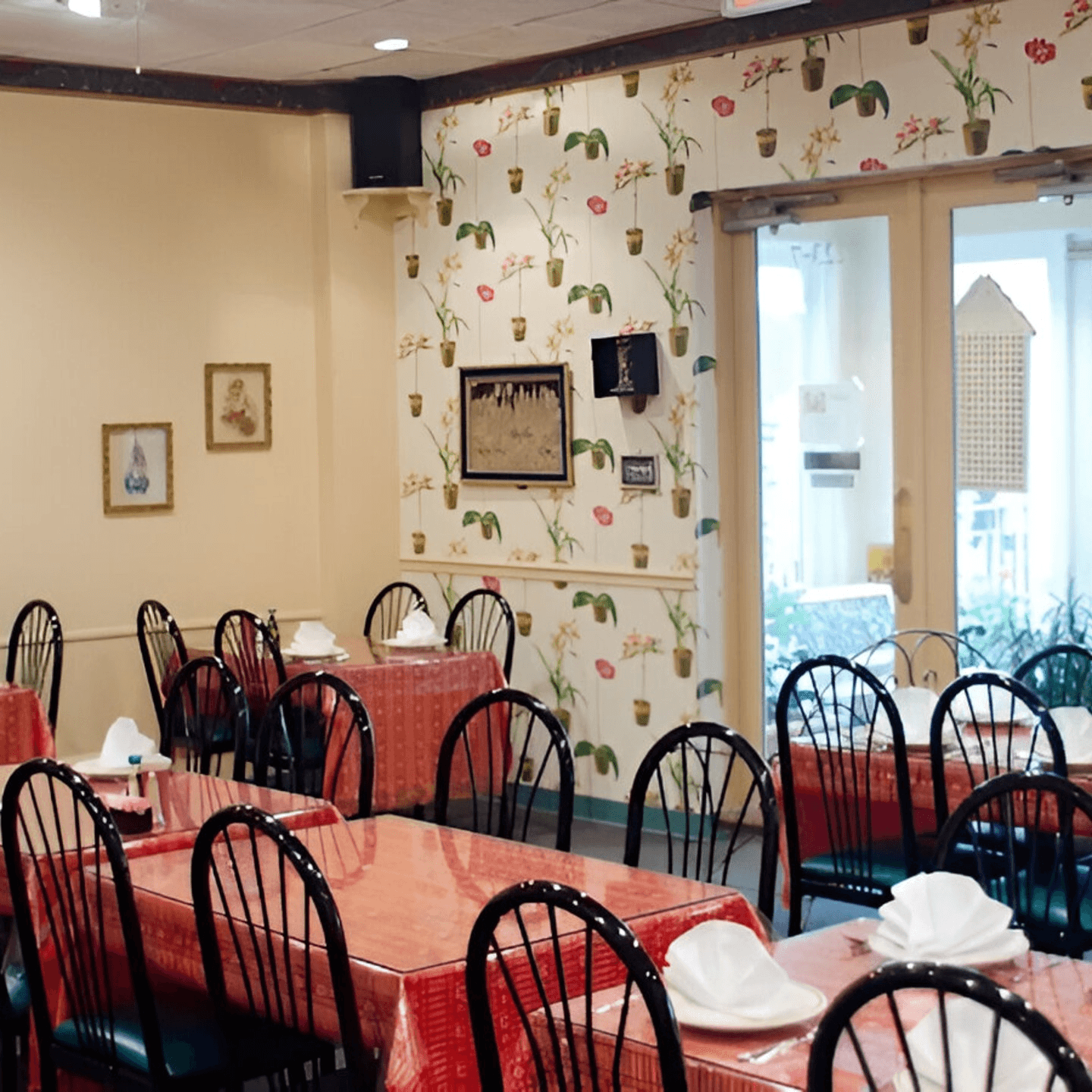 Where Comfort Meets Great Thai Food