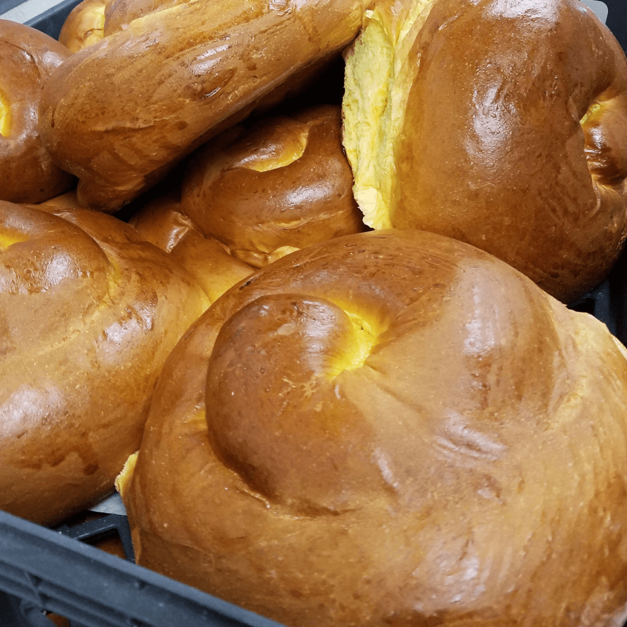 New York Bagels `N Bialys gallery image #9