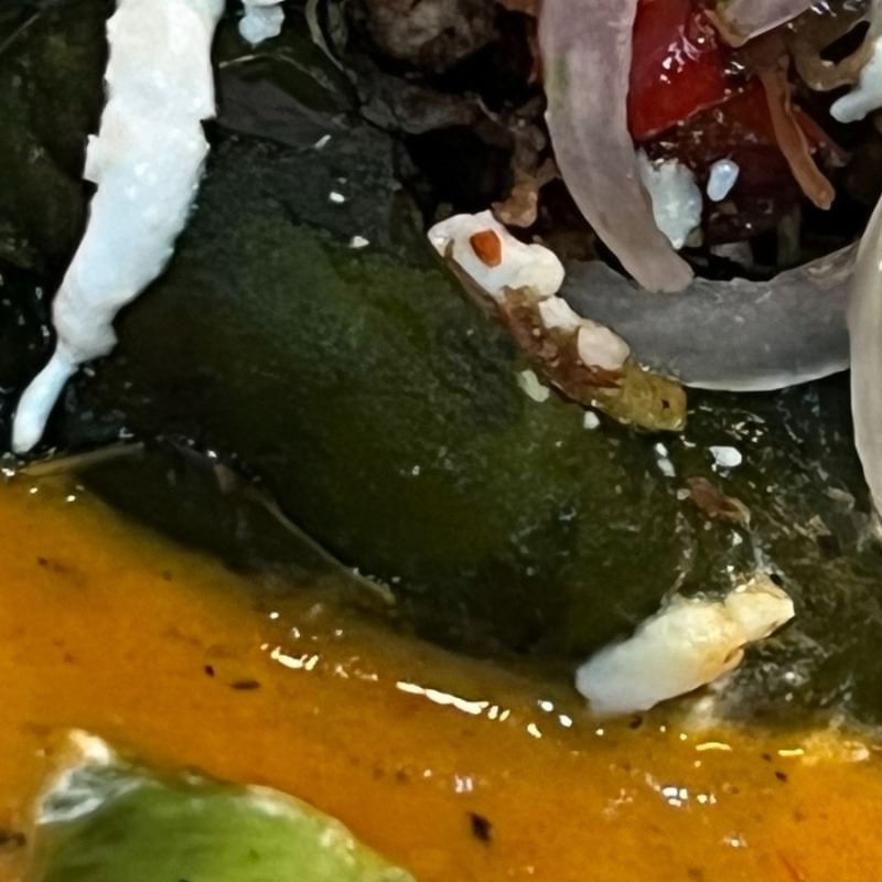 Naked Chile Relleno with Steak.