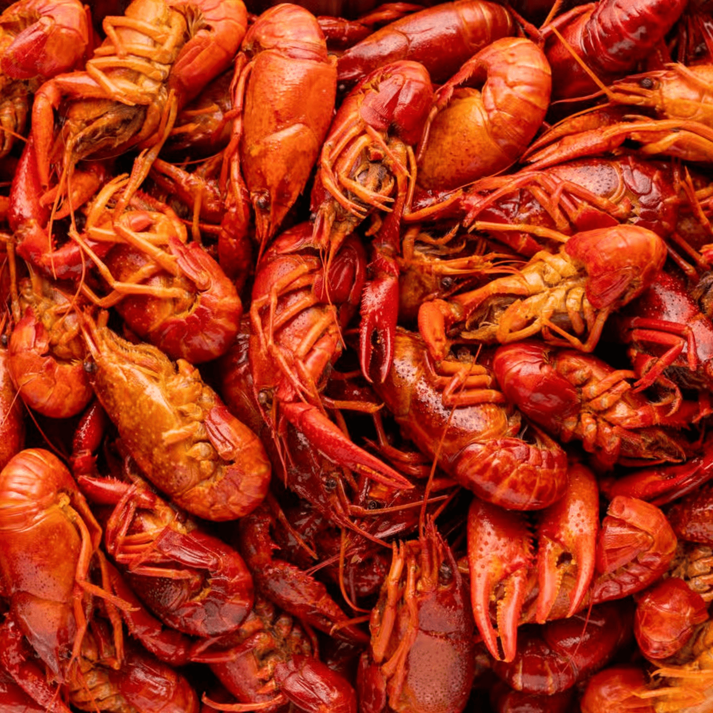 Always Fresh, Always Made with Care