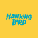 Hawking Bird