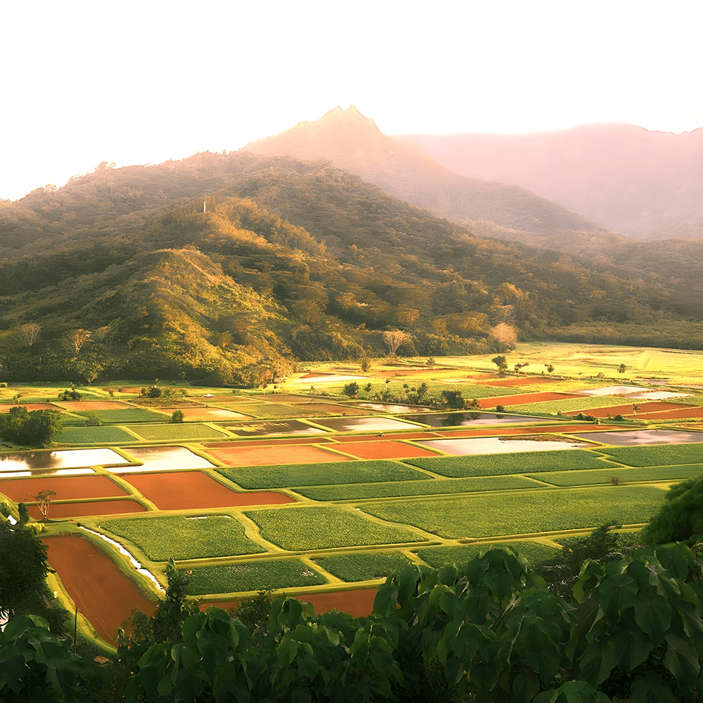 We Love Our Local Farmers
