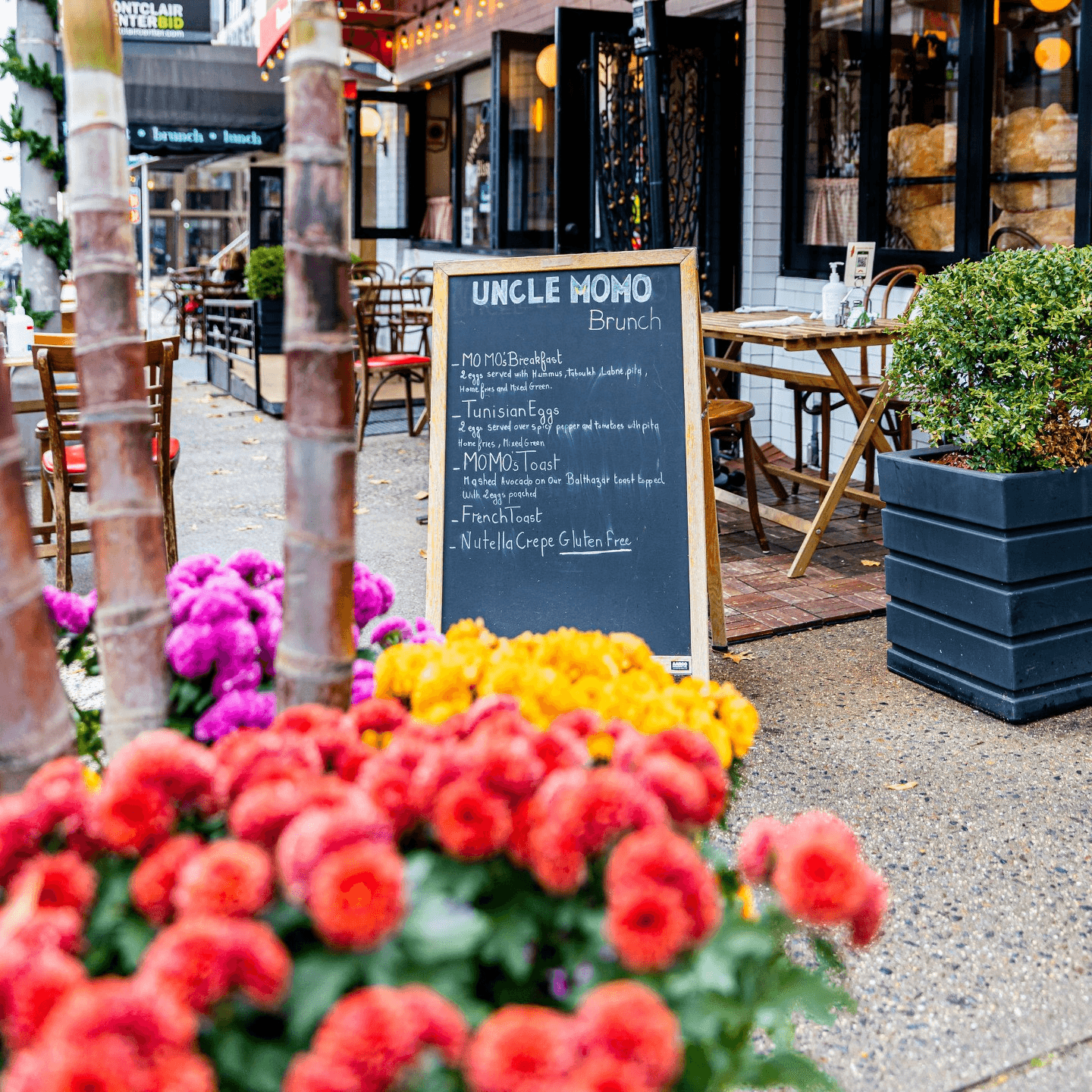 Your Local Lebanese Bistro