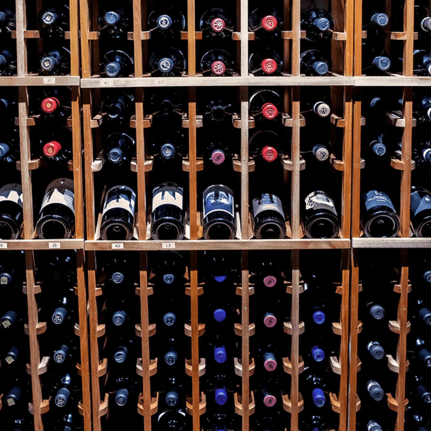 Sip Bold, Stay Easy—Wines That Pour with Purpose