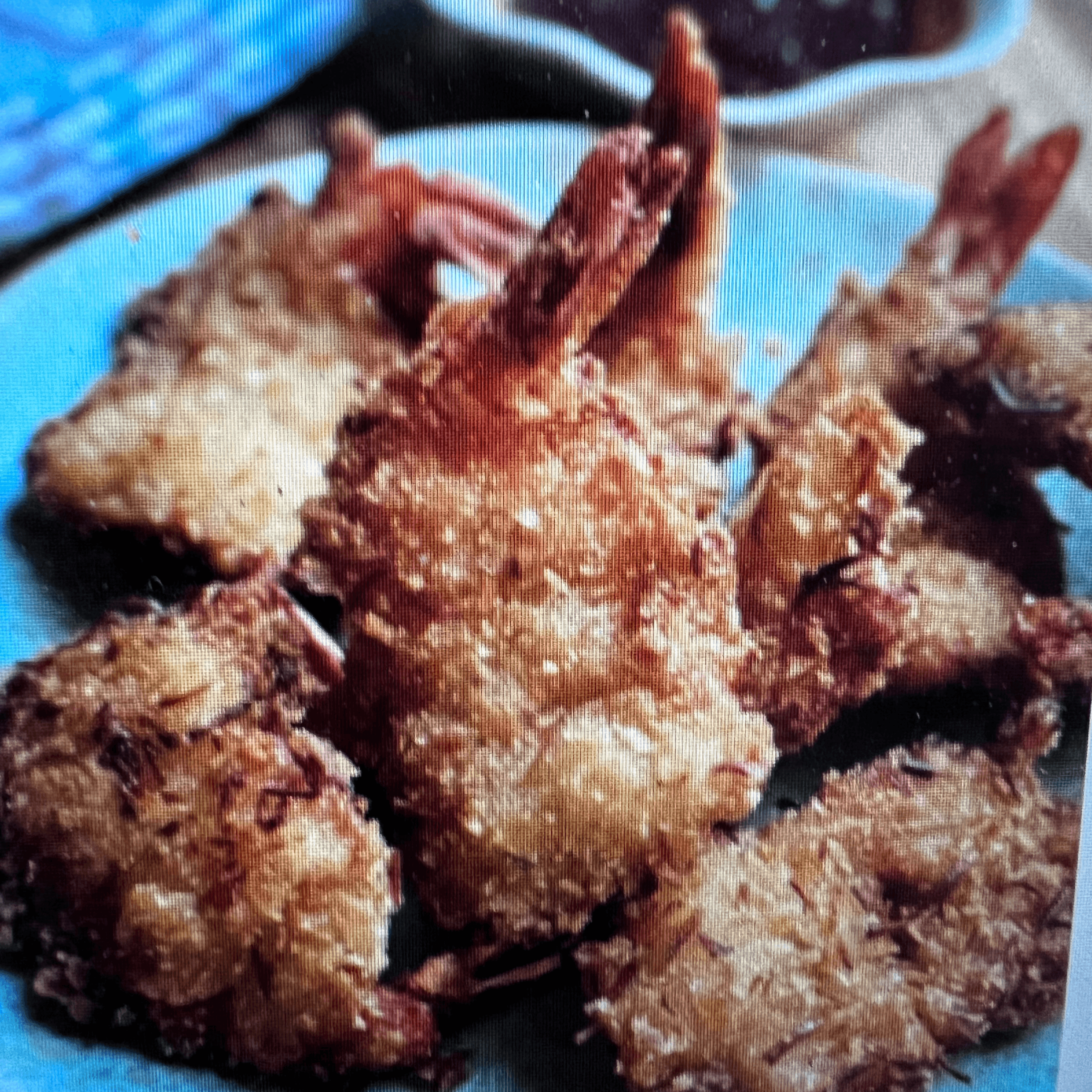 Indo-Korean butterfly fried shrimp(5pcs).